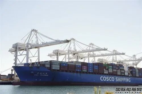 出货旺季退潮！集装箱船运价再度转跌